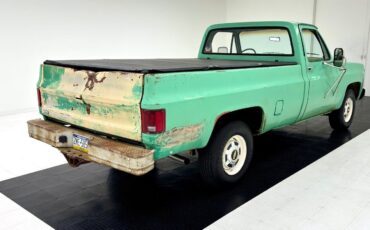 Chevrolet-Other-Pickups-Pickup-1980-4