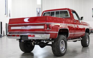 Chevrolet-Other-Pickups-Pickup-1980-4