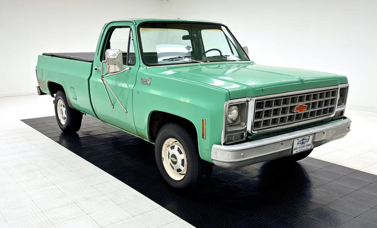 Chevrolet-Other-Pickups-Pickup-1980-6