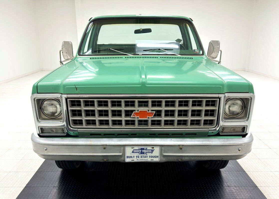 Chevrolet-Other-Pickups-Pickup-1980-7