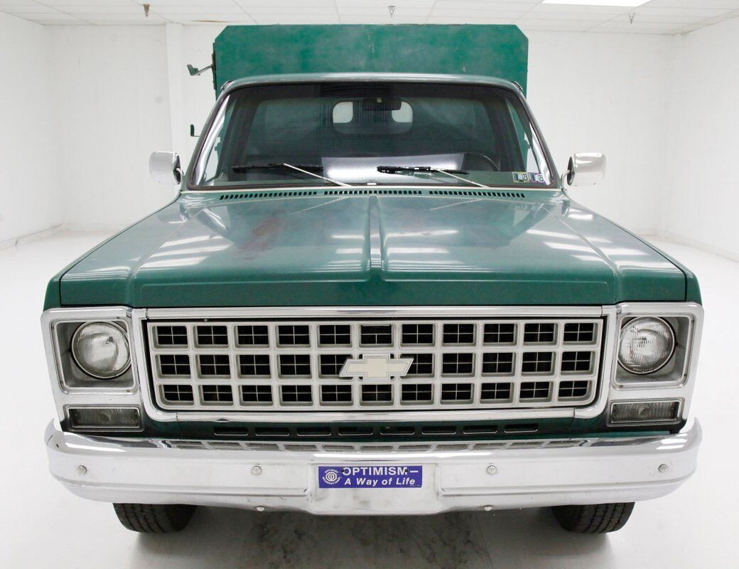 Chevrolet-Other-Pickups-Pickup-1980-7