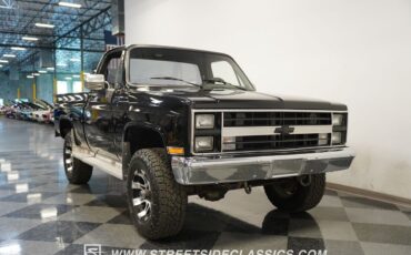 Chevrolet-Other-Pickups-Pickup-1981-14