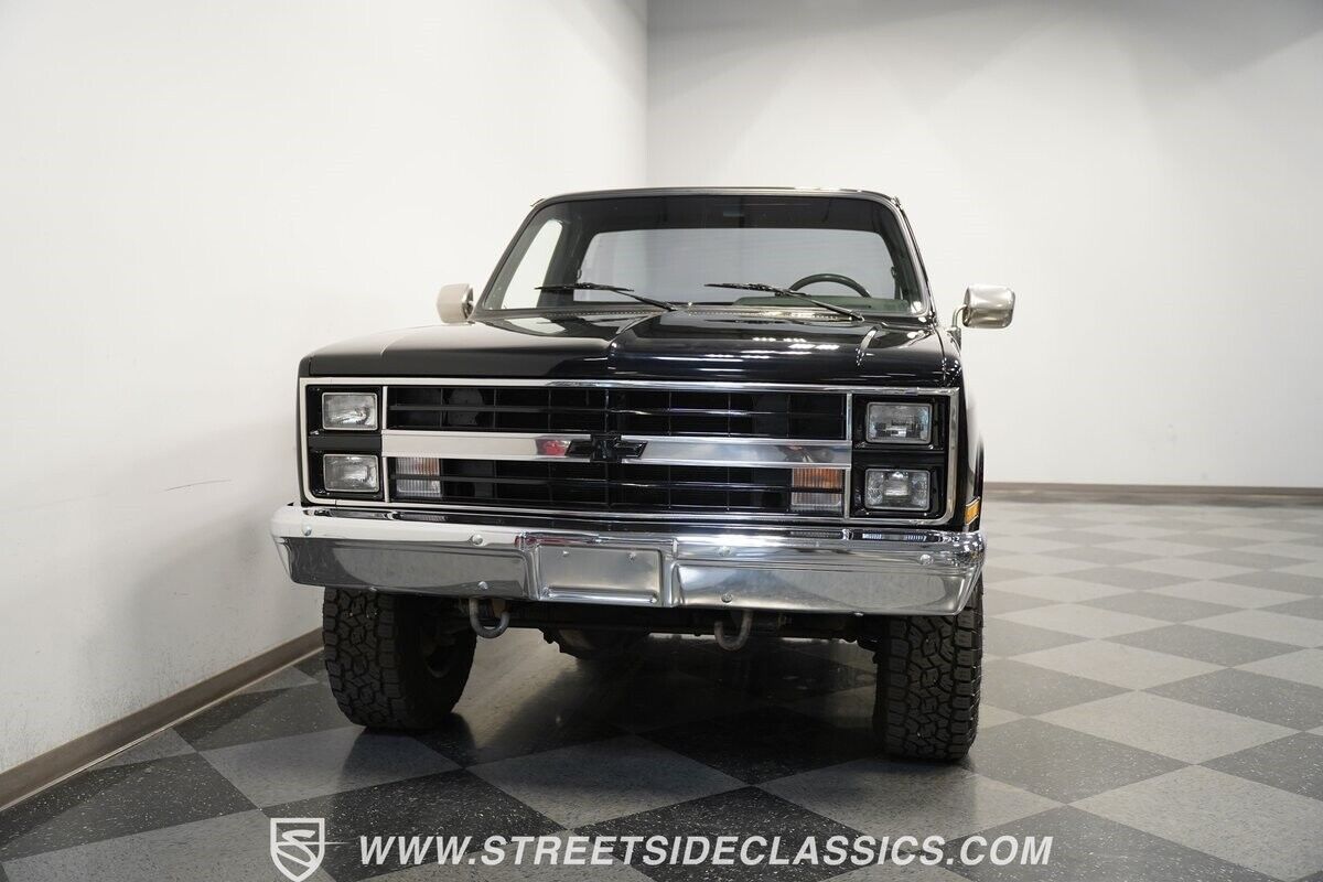 Chevrolet-Other-Pickups-Pickup-1981-16