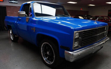 Chevrolet-Other-Pickups-Pickup-1983-10