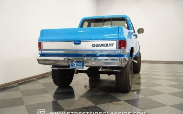 Chevrolet-Other-Pickups-Pickup-1983-11