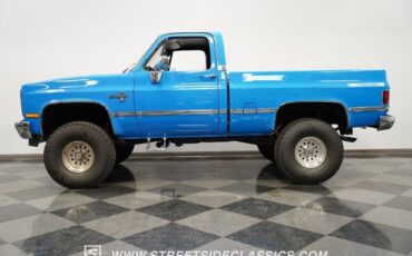 Chevrolet-Other-Pickups-Pickup-1983-2