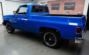 Chevrolet-Other-Pickups-Pickup-1983-5