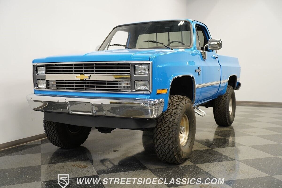 Chevrolet-Other-Pickups-Pickup-1983-5