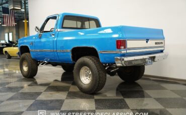 Chevrolet-Other-Pickups-Pickup-1983-8