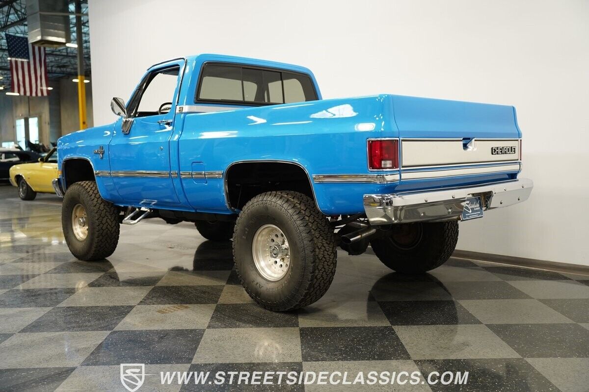 Chevrolet-Other-Pickups-Pickup-1983-8