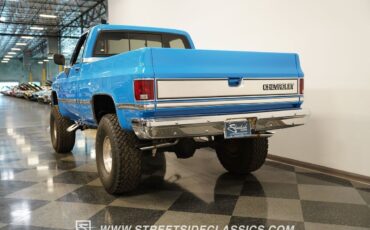 Chevrolet-Other-Pickups-Pickup-1983-9