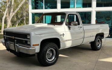 Chevrolet-Other-Pickups-Pickup-1984-9