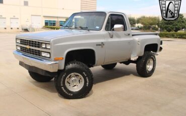 Chevrolet-Other-Pickups-Pickup-1985-2