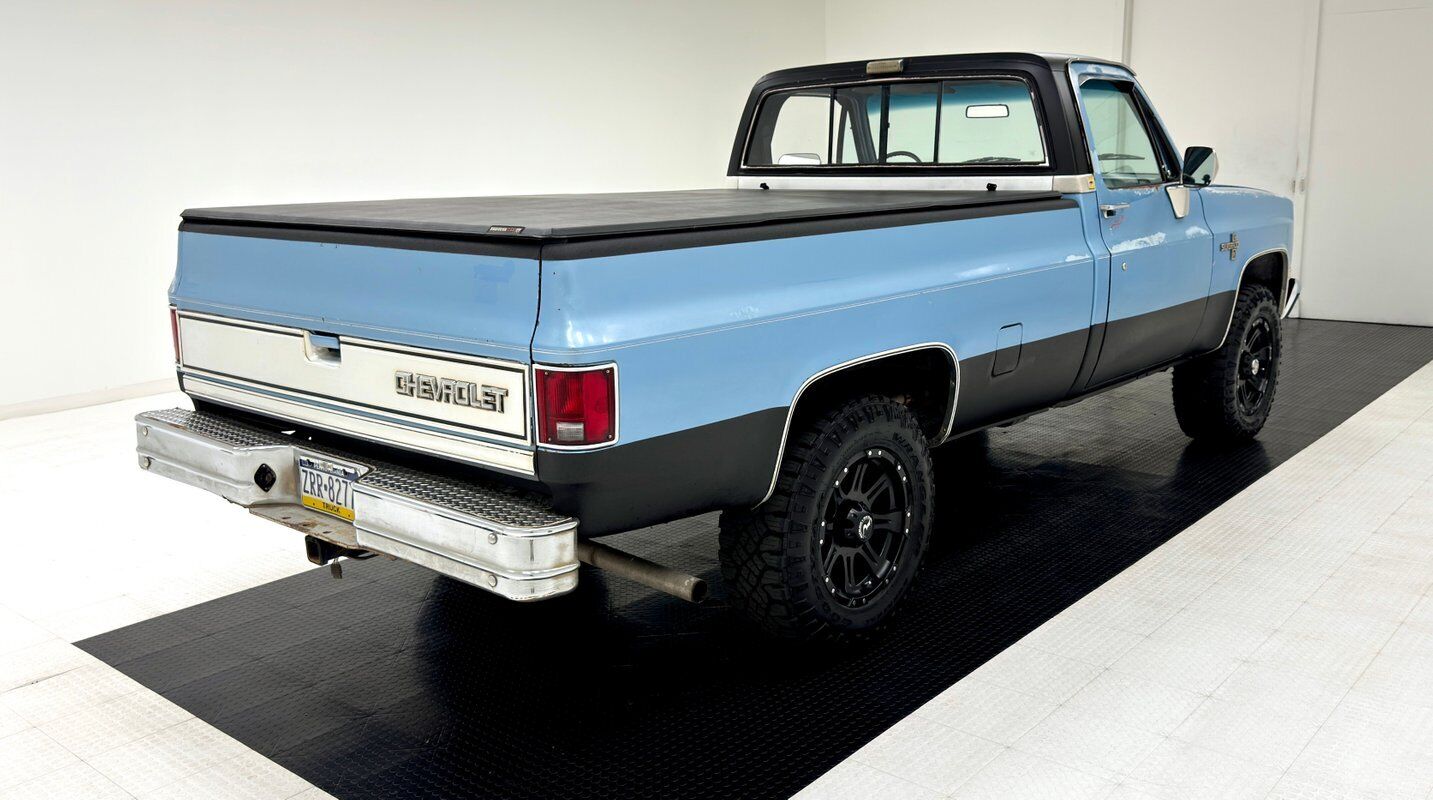 Chevrolet-Other-Pickups-Pickup-1985-4