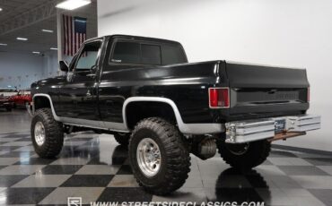 Chevrolet-Other-Pickups-Pickup-1985-9