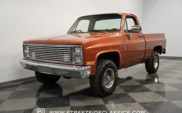 Chevrolet-Other-Pickups-Pickup-1986-5