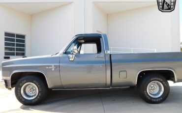 Chevrolet-Other-Pickups-Pickup-1986-6