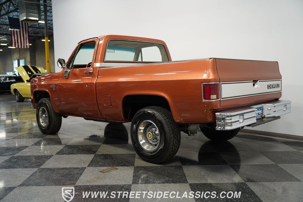 Chevrolet-Other-Pickups-Pickup-1986-8