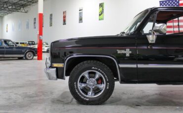 Chevrolet-Other-Pickups-Pickup-1987-1