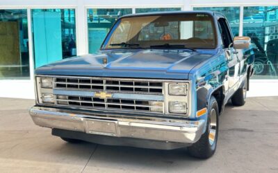 Chevrolet Other Pickups Pickup 1987 à vendre