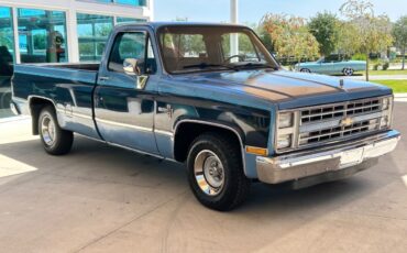 Chevrolet-Other-Pickups-Pickup-1987-2