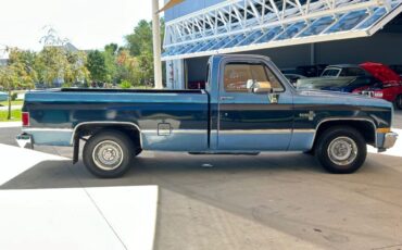 Chevrolet-Other-Pickups-Pickup-1987-3