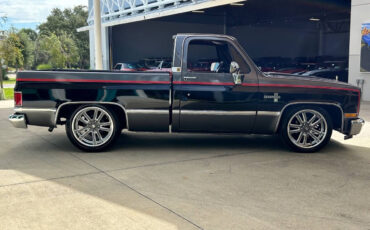 Chevrolet-Other-Pickups-Pickup-1987-3