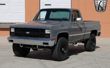 Chevrolet-Other-Pickups-Pickup-1987-3