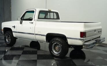 Chevrolet-Other-Pickups-Pickup-1987-6