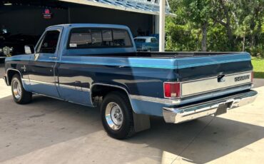 Chevrolet-Other-Pickups-Pickup-1987-6