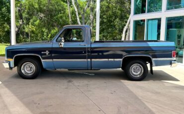 Chevrolet-Other-Pickups-Pickup-1987-7