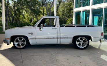 Chevrolet-Other-Pickups-Pickup-1987-7