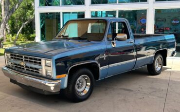 Chevrolet-Other-Pickups-Pickup-1987-8