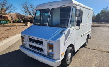 Chevrolet-P10-stepvan-1977-4