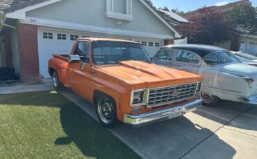 Chevrolet-Pickup-c10-shortbox-1976-1