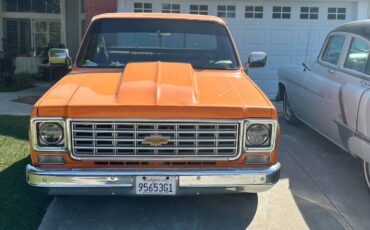 Chevrolet-Pickup-c10-shortbox-1976-2