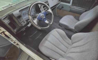 Chevrolet-S-10-1984-12