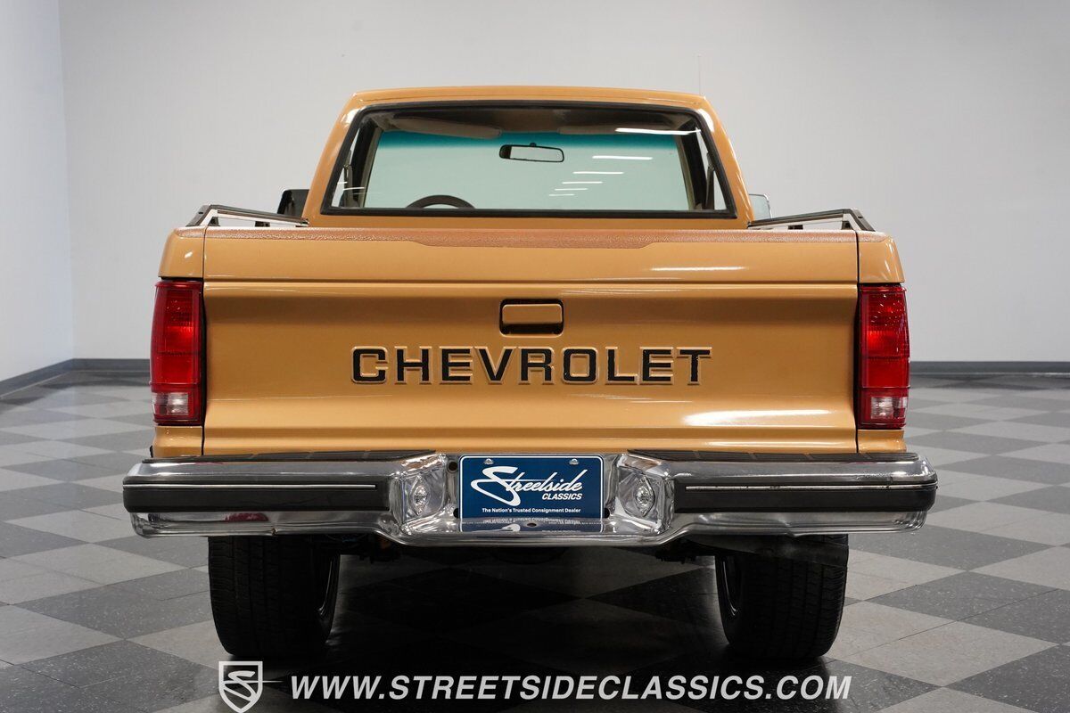 Chevrolet-S-10-Pickup-1984-10