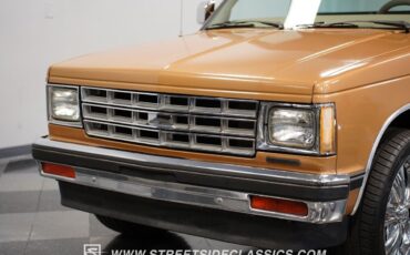 Chevrolet-S-10-Pickup-1984-19