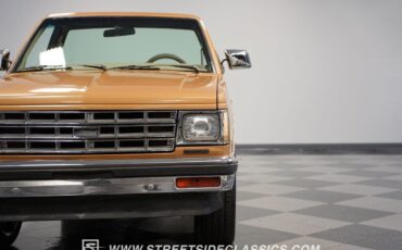 Chevrolet-S-10-Pickup-1984-20