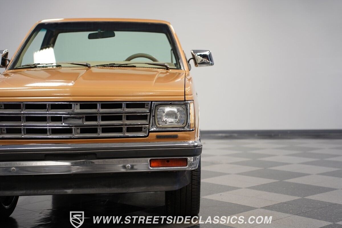 Chevrolet-S-10-Pickup-1984-20