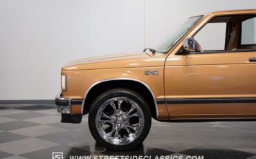 Chevrolet-S-10-Pickup-1984-23