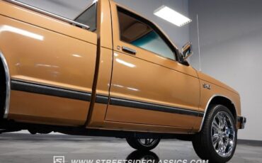 Chevrolet-S-10-Pickup-1984-28