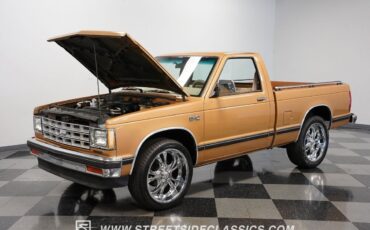 Chevrolet-S-10-Pickup-1984-31