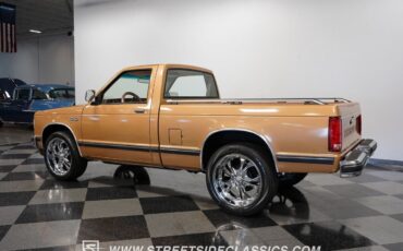 Chevrolet-S-10-Pickup-1984-8