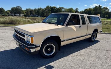 Chevrolet-S-10-Pickup-1991-1