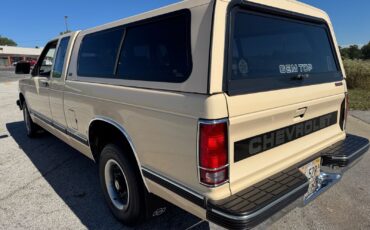 Chevrolet-S-10-Pickup-1991-21