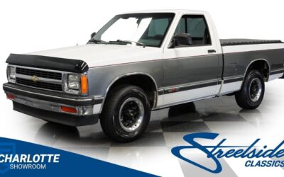 Chevrolet S-10 Pickup 1991 à vendre