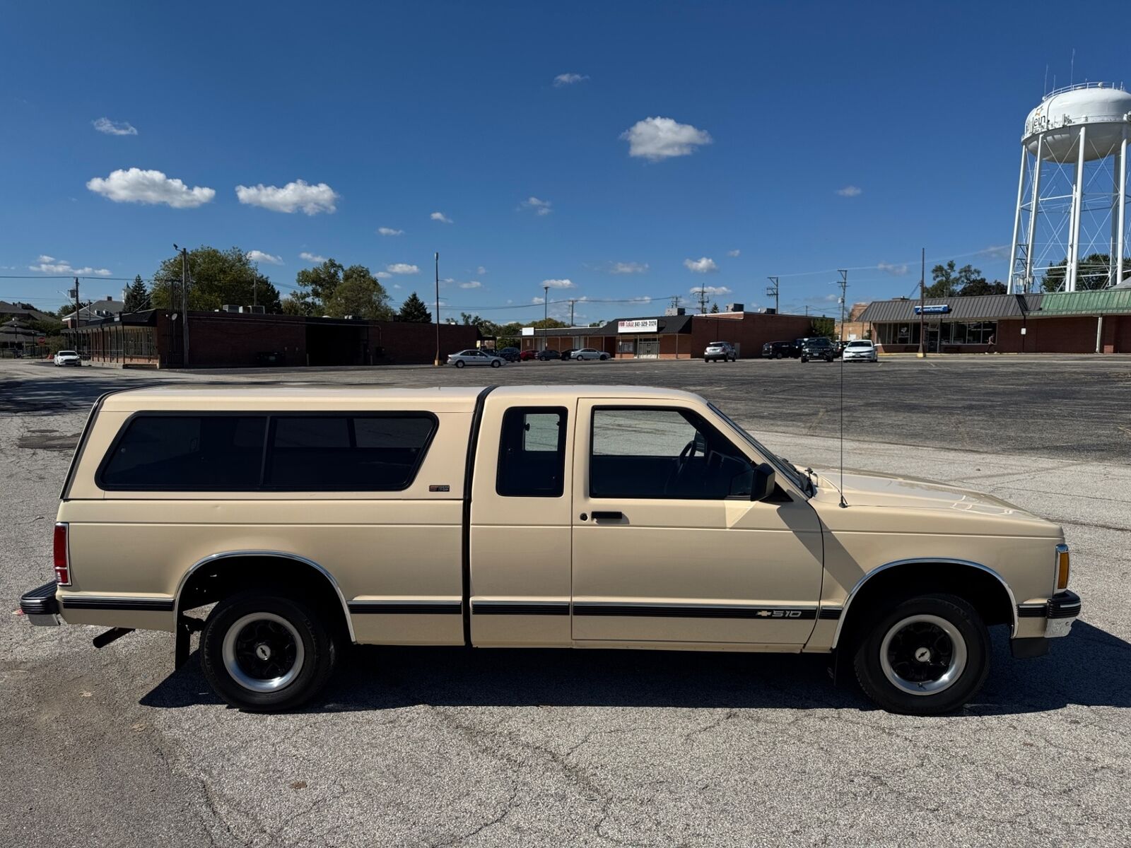 Chevrolet-S-10-Pickup-1991-6