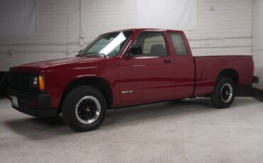 Chevrolet-S-10-Pickup-1991-6